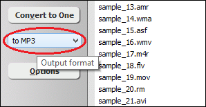 Choose Output File Format