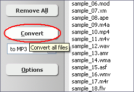 Click Convert