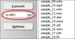 Choose Target File Format