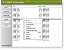 RM MP3 Converter