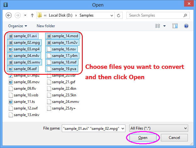 Choose one or more MVI files