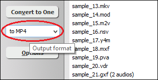 Choose Output File Format