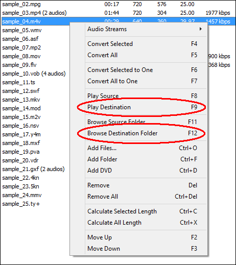 Play and Browse MPEG File