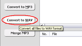 Convert FLV to WAV