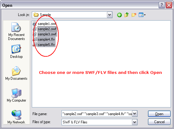 Choose one or more SWF files
