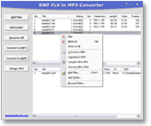 Click to view SWF FLV to MP3 Converter screen shots