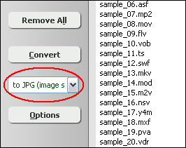 Choose Output Picture/Image Format
